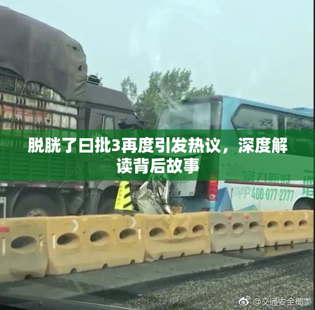 脱胱了曰批3再度引发热议，深度解读背后故事
