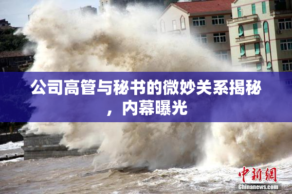 公司高管与秘书的微妙关系揭秘，内幕曝光