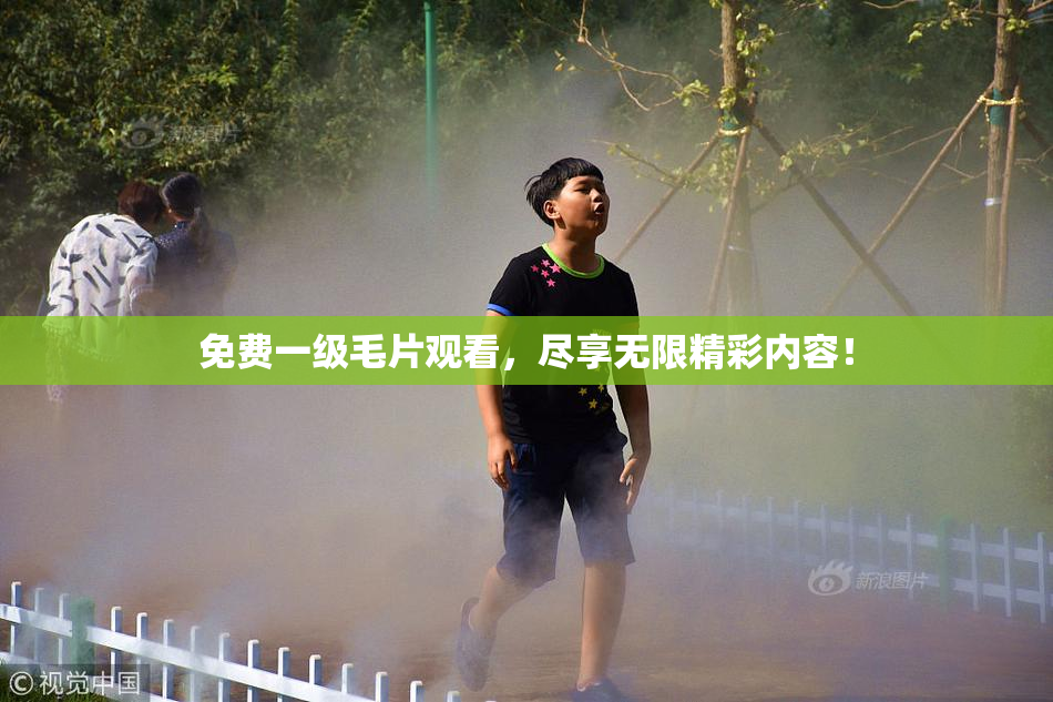 免费一级毛片观看，尽享无限精彩内容！