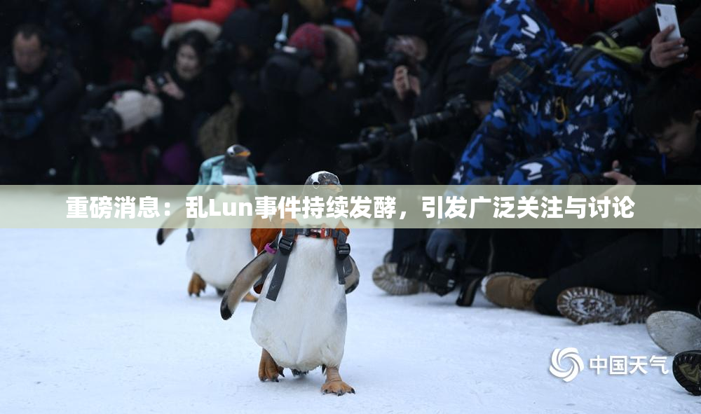 重磅消息：乱Lun事件持续发酵，引发广泛关注与讨论