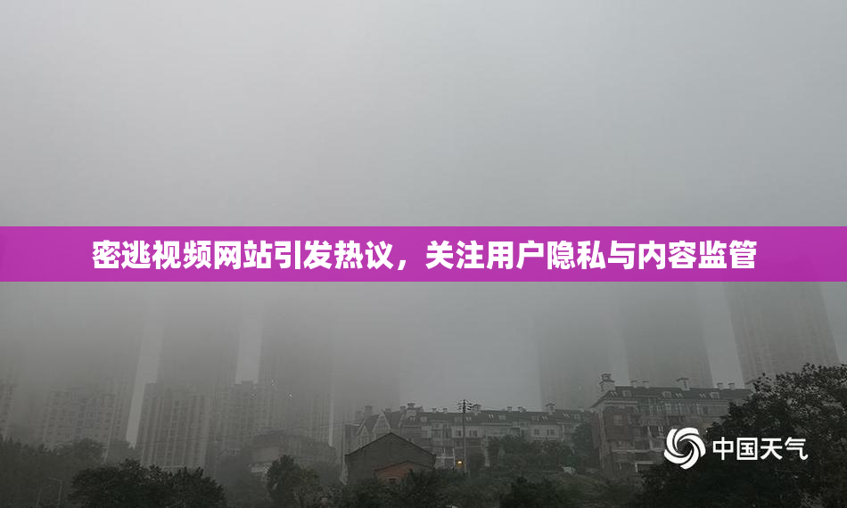 密逃视频网站引发热议，关注用户隐私与内容监管