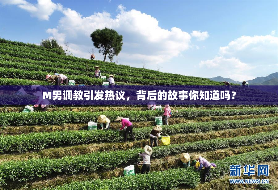 M男调教引发热议，背后的故事你知道吗？