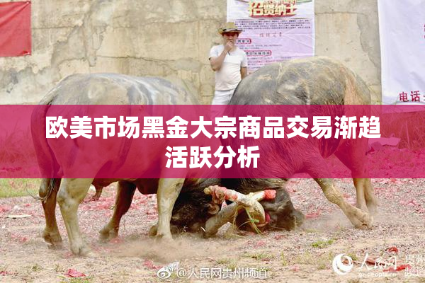 欧美市场黑金大宗商品交易渐趋活跃分析