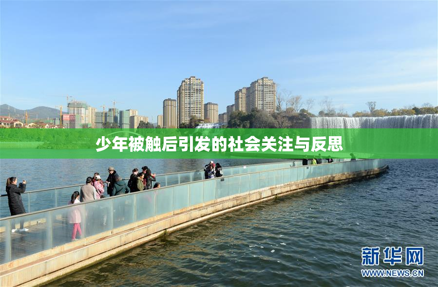 少年被触后引发的社会关注与反思