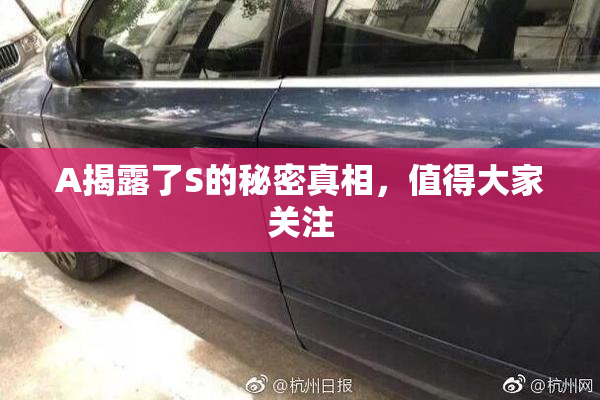 A揭露了S的秘密真相，值得大家关注