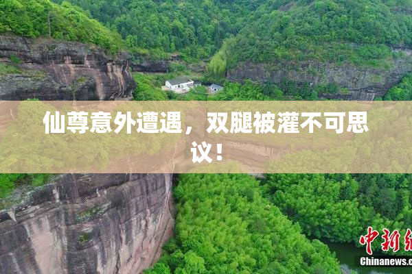 仙尊意外遭遇，双腿被灌不可思议！