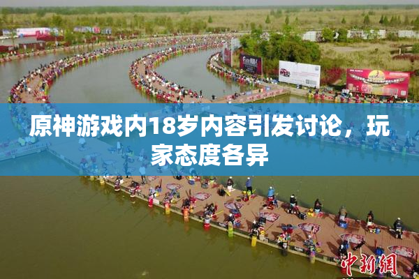 原神游戏内18岁内容引发讨论，玩家态度各异