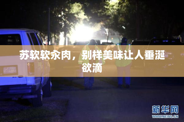 苏软软汆肉，别样美味让人垂涎欲滴