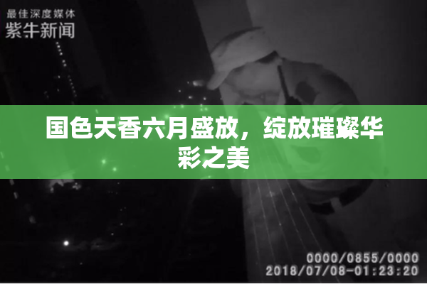 国色天香六月盛放，绽放璀璨华彩之美