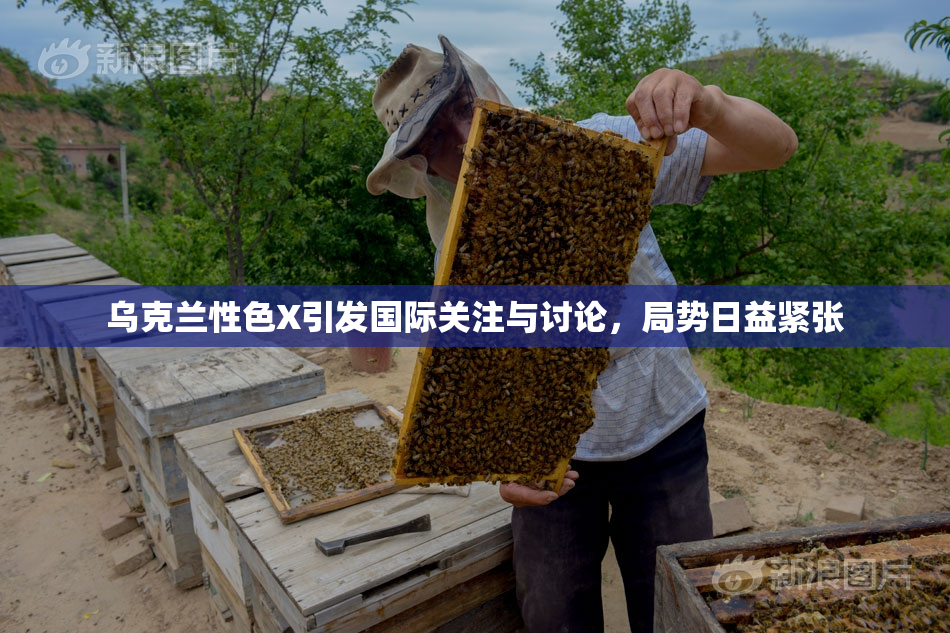 乌克兰性色X引发国际关注与讨论，局势日益紧张