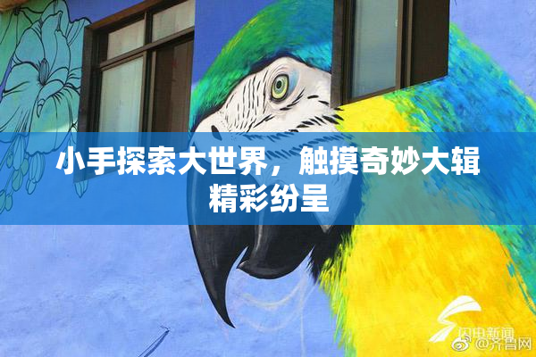 小手探索大世界，触摸奇妙大辑精彩纷呈