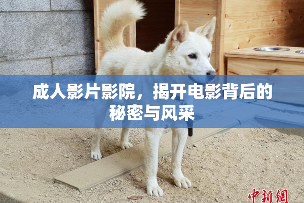 成人影片影院，揭开电影背后的秘密与风采