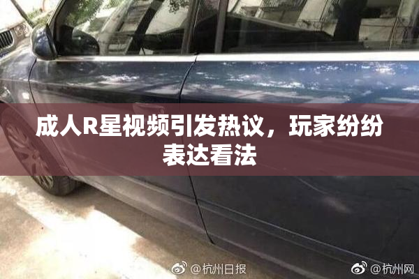 成人R星视频引发热议，玩家纷纷表达看法