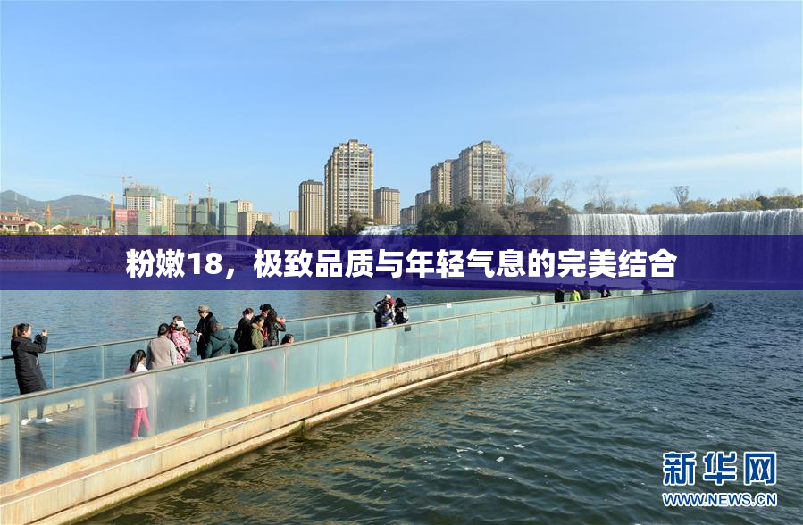 粉嫩18，极致品质与年轻气息的完美结合