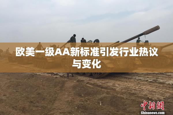 欧美一级AA新标准引发行业热议与变化