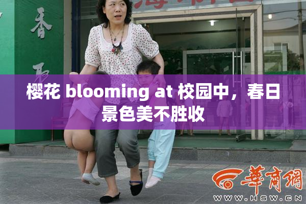 樱花 blooming at 校园中，春日景色美不胜收