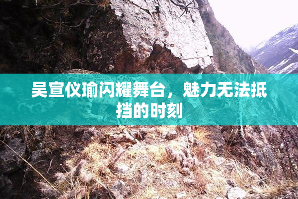 吴宣仪瑜闪耀舞台，魅力无法抵挡的时刻