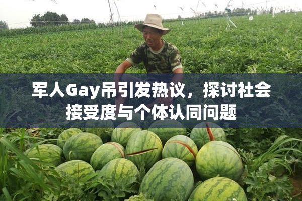 军人Gay吊引发热议，探讨社会接受度与个体认同问题