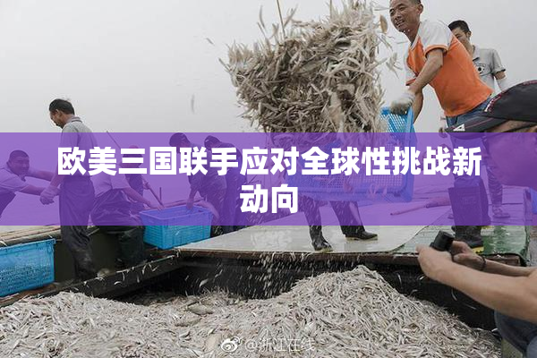 欧美三国联手应对全球性挑战新动向