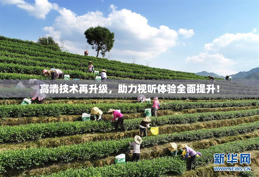 高清技术再升级，助力视听体验全面提升！