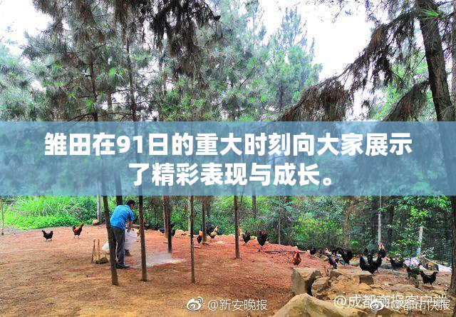 雏田在91日的重大时刻向大家展示了精彩表现与成长。