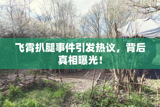 飞霄扒腿事件引发热议，背后真相曝光！