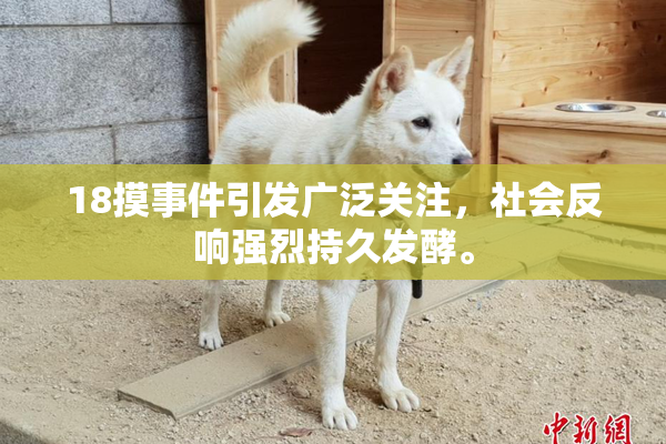 18摸事件引发广泛关注，社会反响强烈持久发酵。