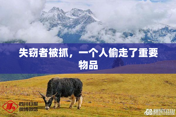 失窃者被抓，一个人偷走了重要物品