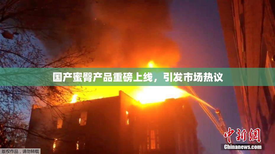 国产蜜臀产品重磅上线，引发市场热议