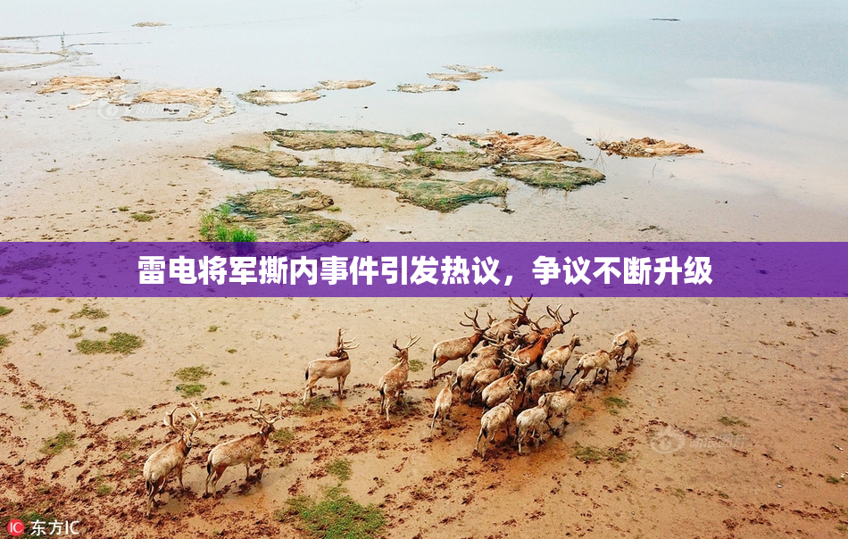 雷电将军撕内事件引发热议，争议不断升级