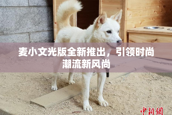 麦小文光版全新推出，引领时尚潮流新风尚