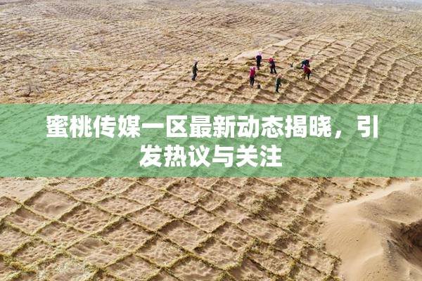 蜜桃传媒一区最新动态揭晓，引发热议与关注