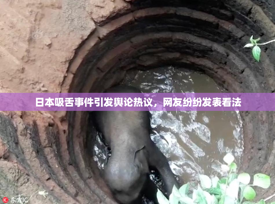 日本吸舌事件引发舆论热议，网友纷纷发表看法