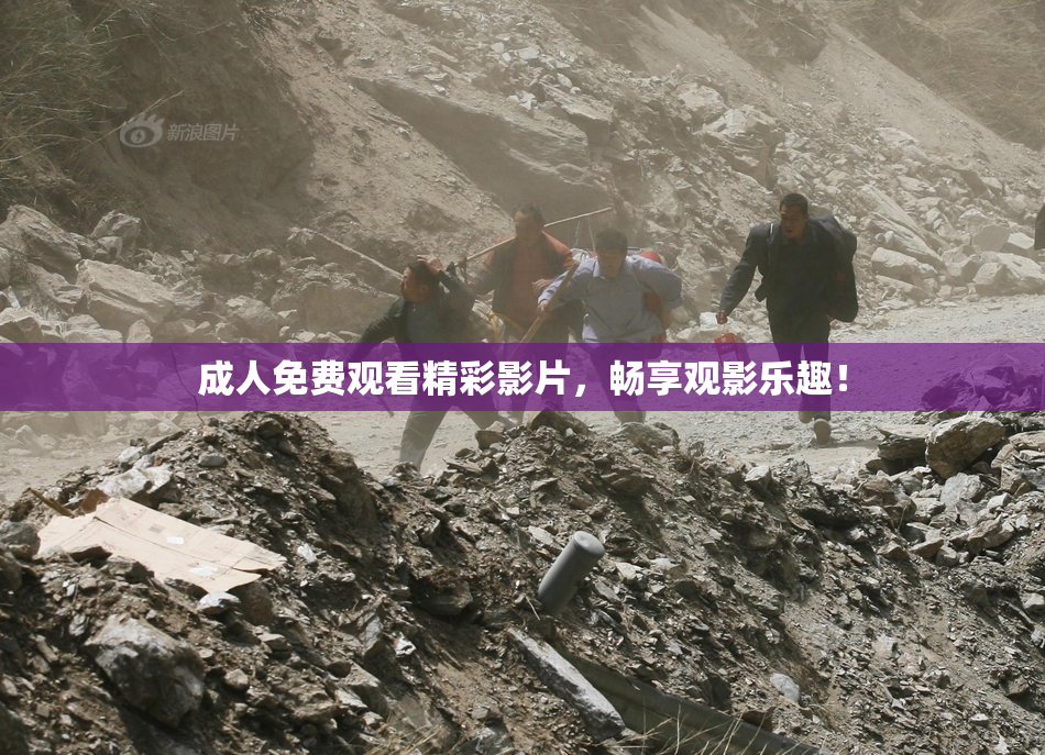 成人免费观看精彩影片，畅享观影乐趣！