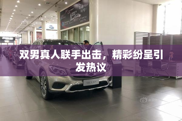 双男真人联手出击，精彩纷呈引发热议