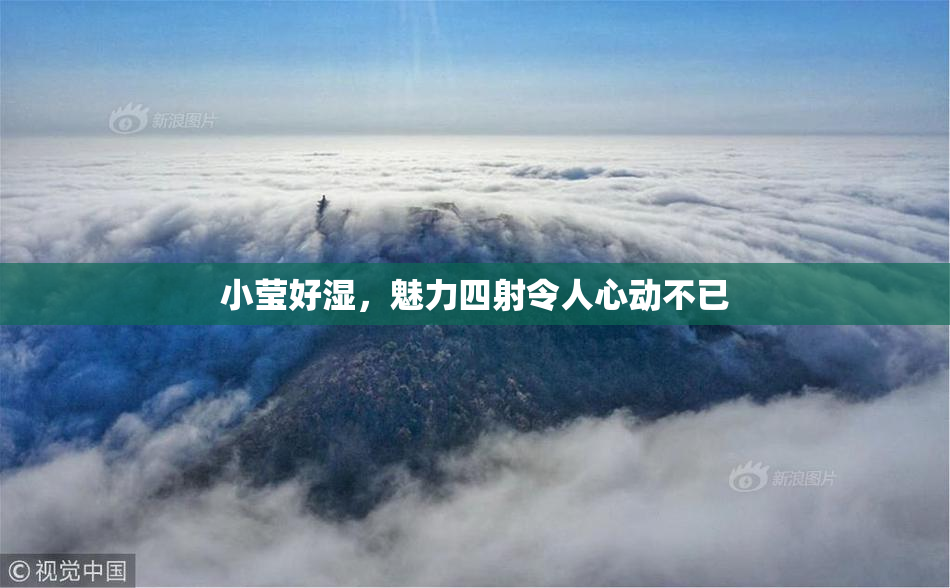 小莹好湿，魅力四射令人心动不已