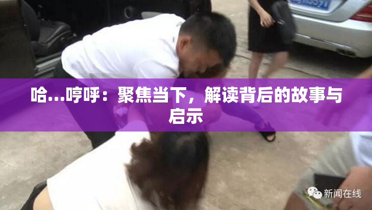 哈…哼呼：聚焦当下，解读背后的故事与启示