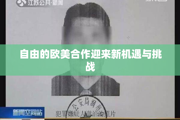 自由的欧美合作迎来新机遇与挑战