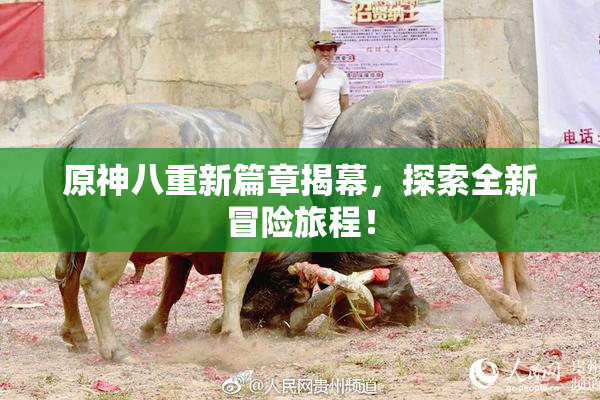 原神八重新篇章揭幕，探索全新冒险旅程！