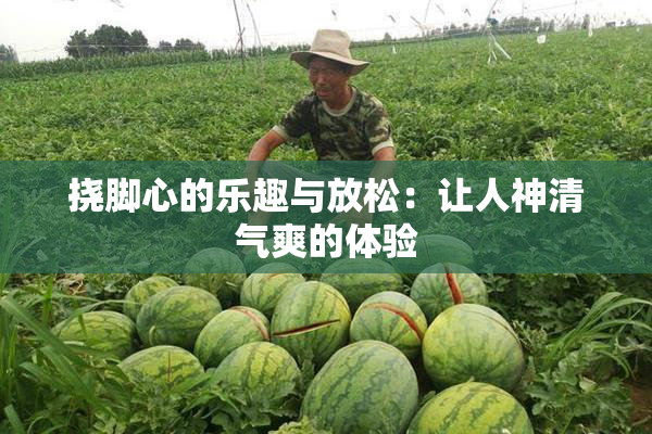 挠脚心的乐趣与放松：让人神清气爽的体验