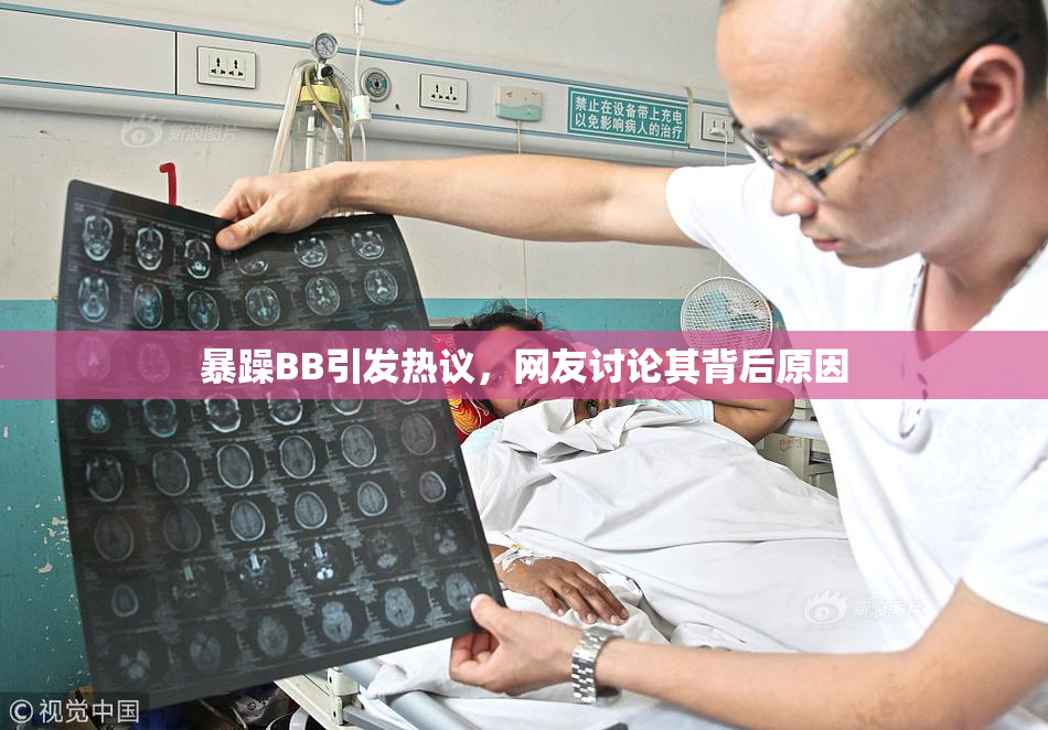 暴躁BB引发热议，网友讨论其背后原因