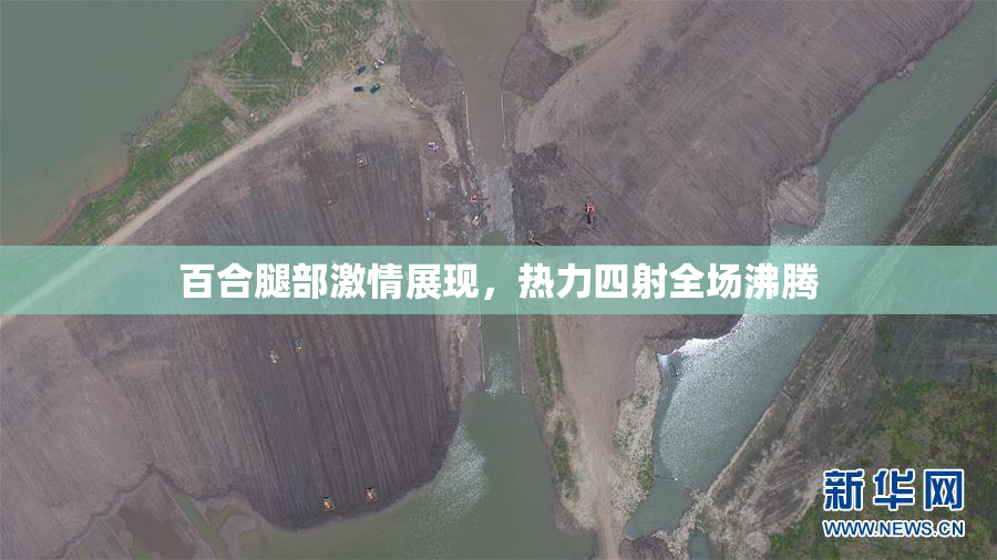 百合腿部激情展现，热力四射全场沸腾