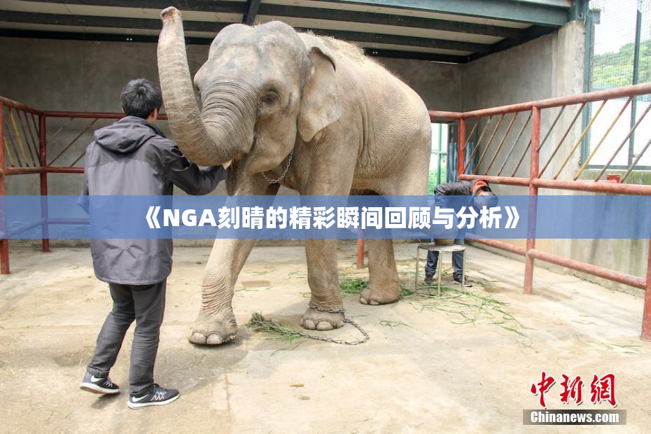 《NGA刻晴的精彩瞬间回顾与分析》