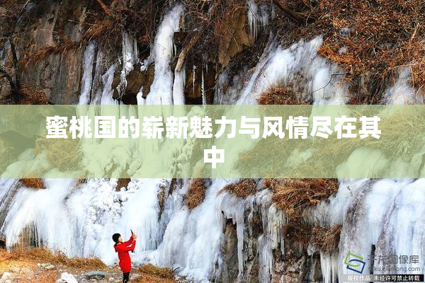蜜桃国的崭新魅力与风情尽在其中