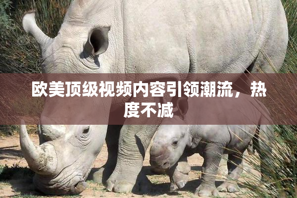 欧美顶级视频内容引领潮流，热度不减