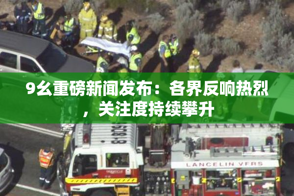 9幺重磅新闻发布：各界反响热烈，关注度持续攀升