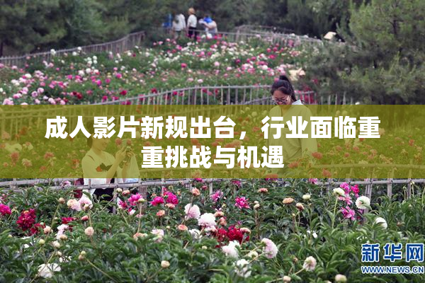 成人影片新规出台，行业面临重重挑战与机遇