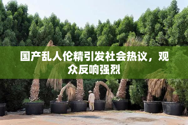 国产乱人伦精引发社会热议，观众反响强烈