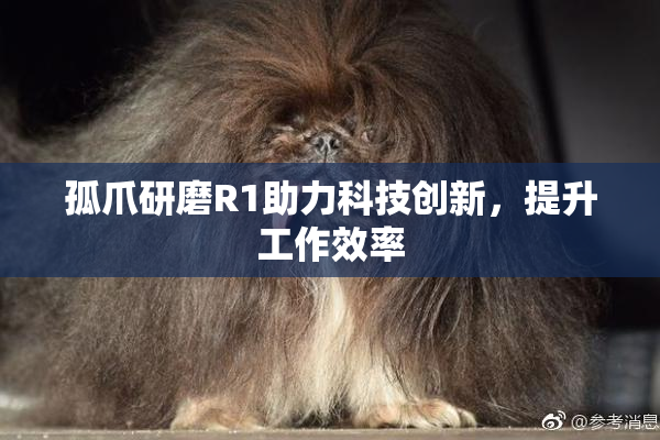 孤爪研磨R1助力科技创新，提升工作效率