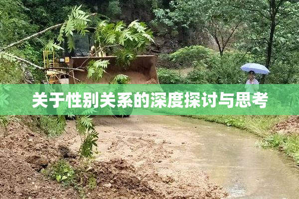 关于性别关系的深度探讨与思考